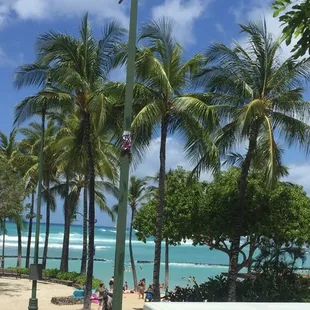 You&apos;ll love our ocean view from our above the street location