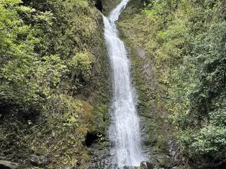 Private Hawaii Tours