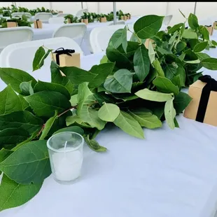 Affordable table &amp; chair rental prices helped us stay on budget