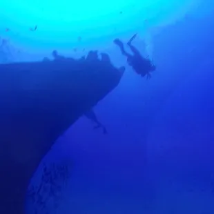 Enjoying the wreck of Shark Tiger!