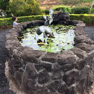 Pretty pond by Pooh's house