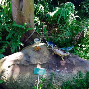 Dinosaur sighting!!!