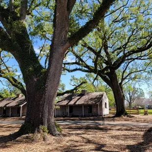 Slave quarters