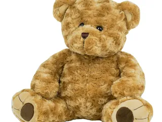 Teddy Bear Connection