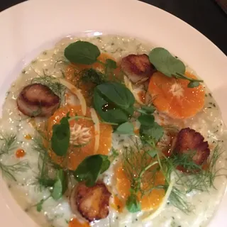 Pan Seared Scallops