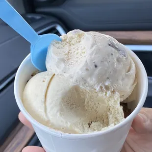 Banana Walnut, Mint Chip &amp; Rocky Road Ice Creams