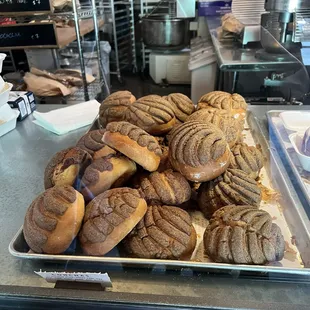 Conchas - mmm! (02/08/25)