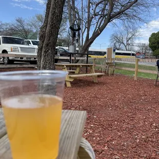 The dart passing through