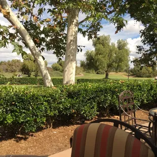 Outdoor seating. Quiet and beautiful space.