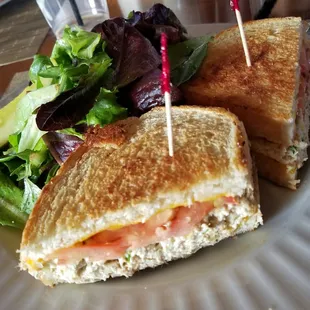 Tuna Melt Sandwich