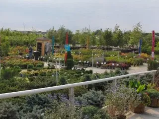 Campbell's Nurseries & Garden Centers