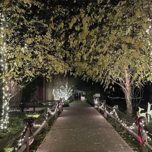 Beautiful paths