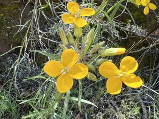 Tapo Canyon Park