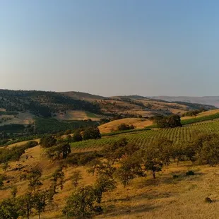 Our 10 acre vineyard features Rhone-Style Varietals including Grenache, Syrah, Mourvedre, Counoise, Cinsault, Carignan, and Grenache Blanc