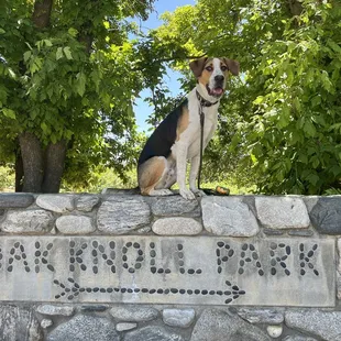 Oak Glen Preserve's Oak Knoll Park has ample picnic tables for family fun and it's located next to the Children's Forest!