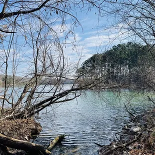 View of the lake