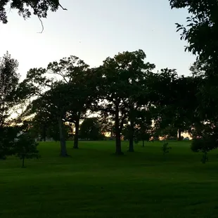 Middle of the park