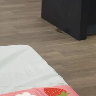 Mice roaming throughout the party