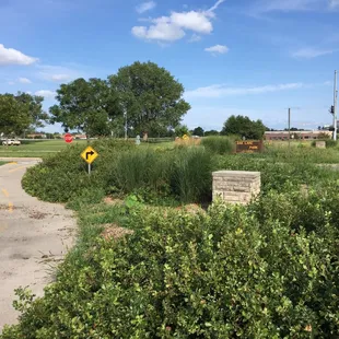 Bike path by the entrance
