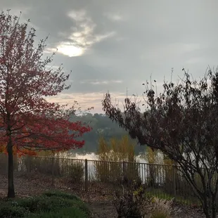 one of the views you can enjoy