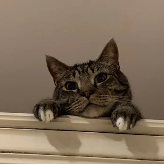 S ..