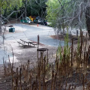 A better view of the grounds