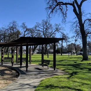 Lots of trees and grass around the playground!