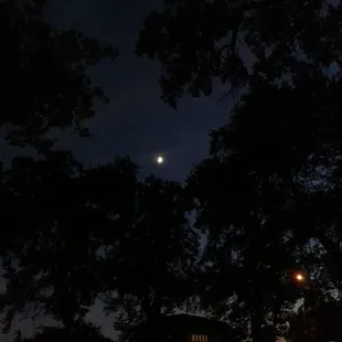 The beautiful night sky and moon over Oak Park :) Life is Beautiful *VD*