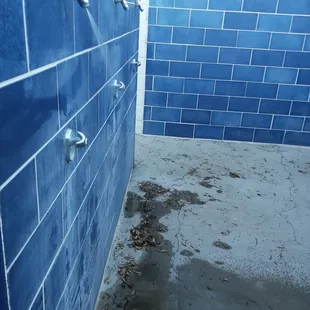 Shower is filled with leaves and is clogged with lime and rust!