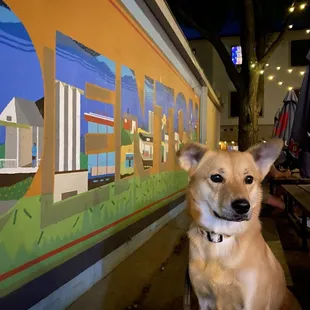 Dog friendly! And a cute mural :)