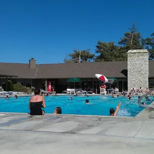 people enjoying the pool
