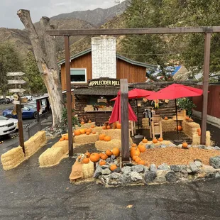 family picture background?