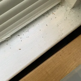 More gnats