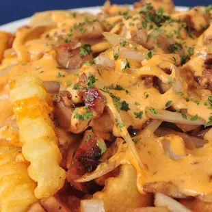 a close up of a plate of fries