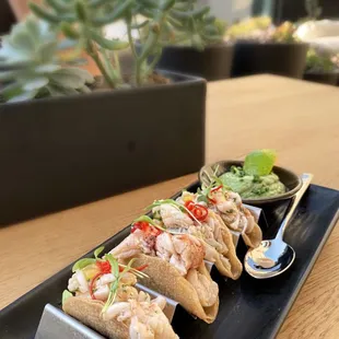 Lobster Tacos