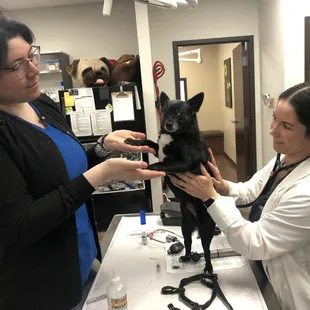 Dr. Terry with patient