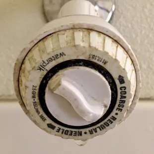 There is not much to say about the disgusting shower head that this picture doors not say for it self.