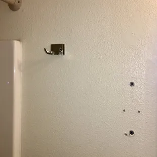 The bathroom decor.