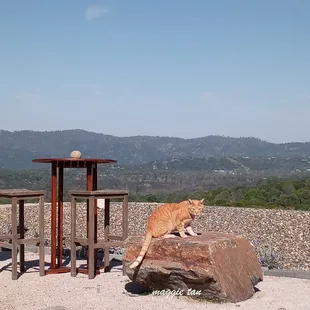 Oakhurst Rock and Landscape Supply