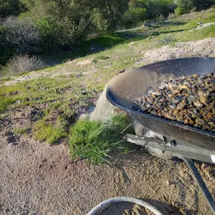 Apr 2021: muddy water on the 6th rinse out