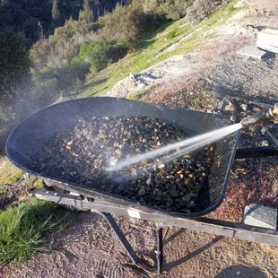 Apr 2021: we washed the rocks at least 6 times