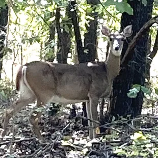 Wild life in their natural skin and you in your natural skin what more could you ask for?