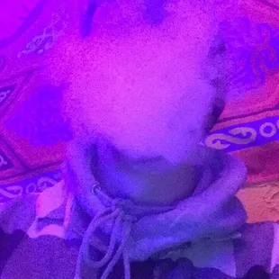 a dog eating a hot dog