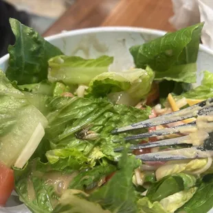 BUG IN MY SALAD