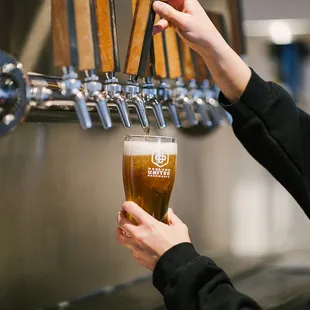 a person holding a pint of beer