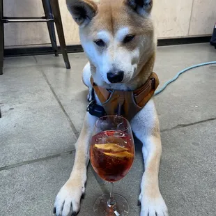 With a special Negroni using Prosecco