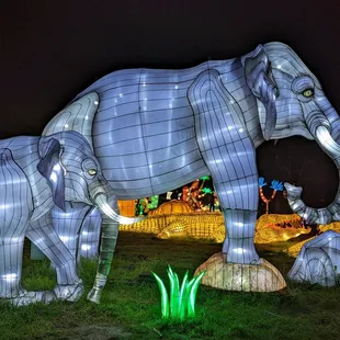 Elephant "lanterns"