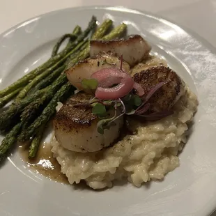Scallops