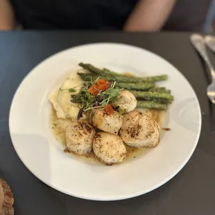 Scallops
