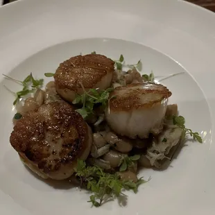 Scallops